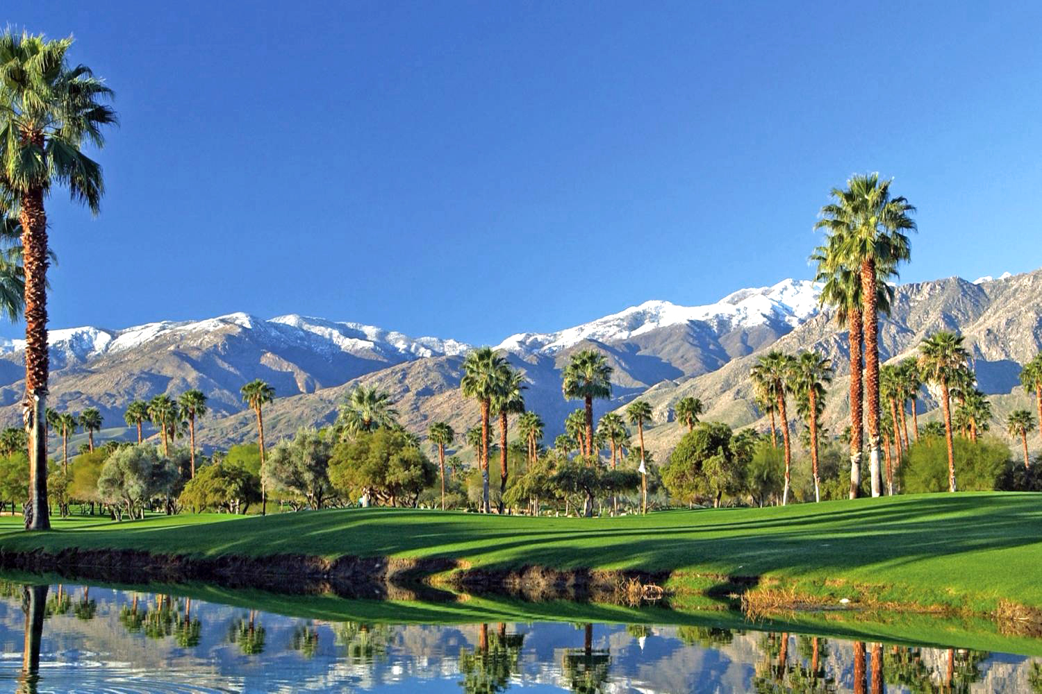 Palm Springs
